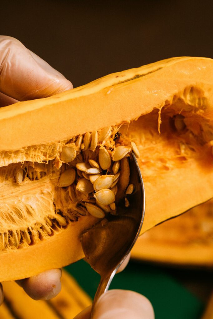 Can you freeze butternut squash?