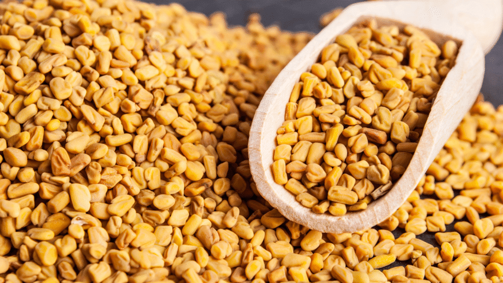 Fenugreek health benefits