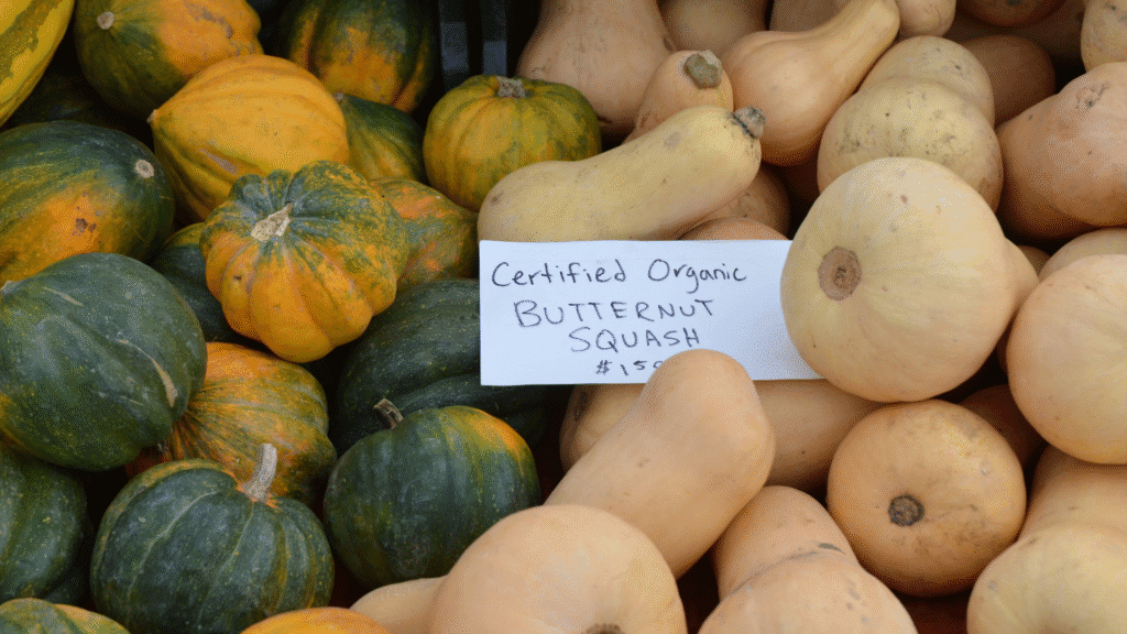 Acorn Vs butternut recipe 