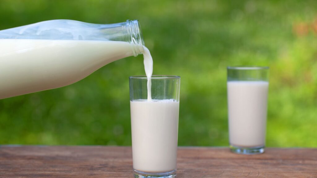 Raw milk fattening?