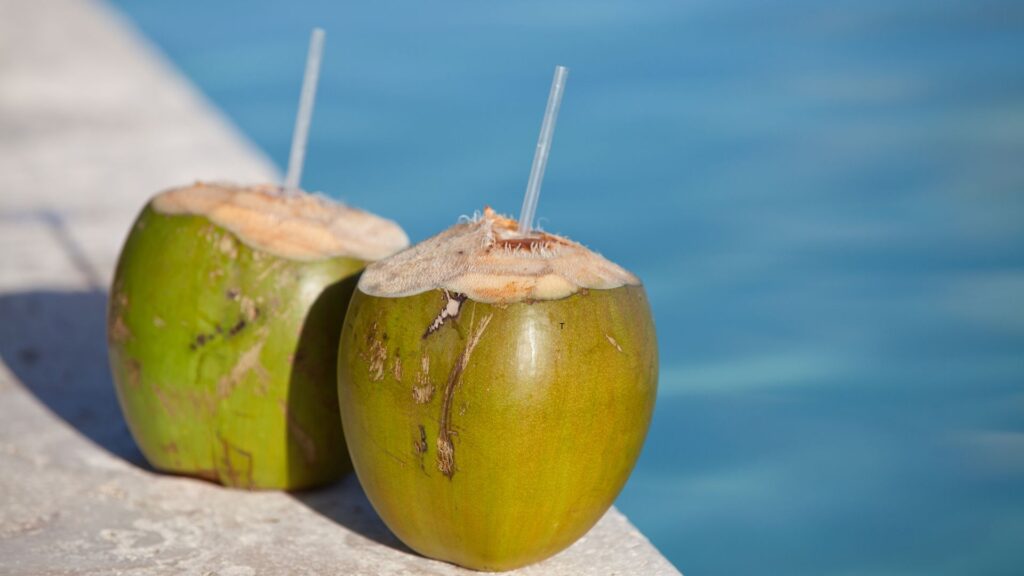is coconut water fattening.jpg