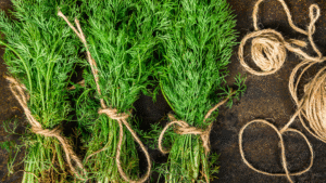 Steps for freezing dill