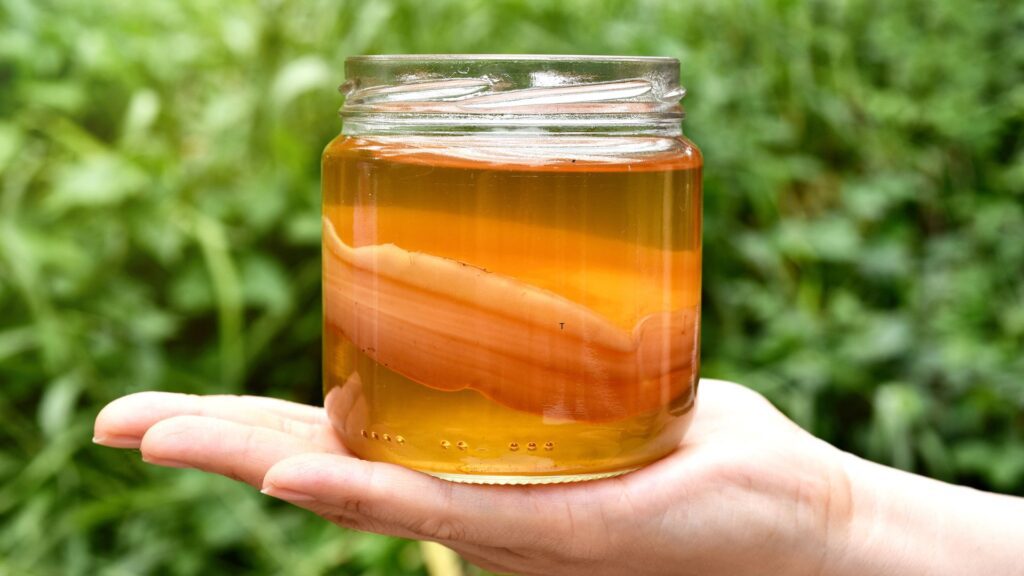 Kombucha for bloating
