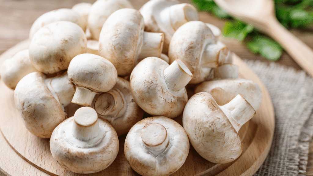 mushroom for wound healing