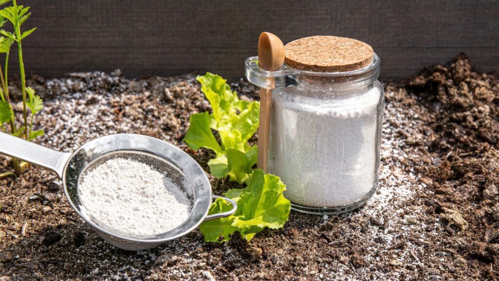 Diatomaceous earth for fleas