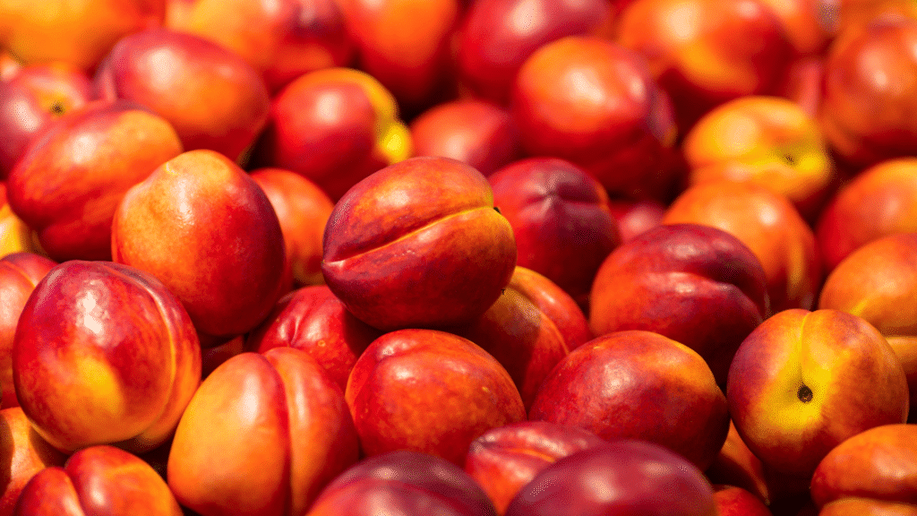 Nectarine recipes ideas