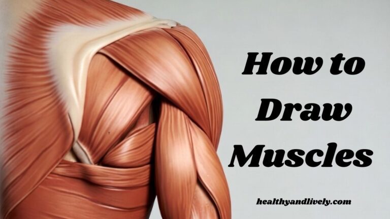 Simple Muscles Design How to Draw Muscles Accurately: A Step-by-Step Guide